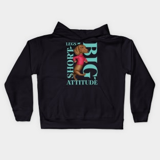 Short Legs Big Attitude Kids Hoodie